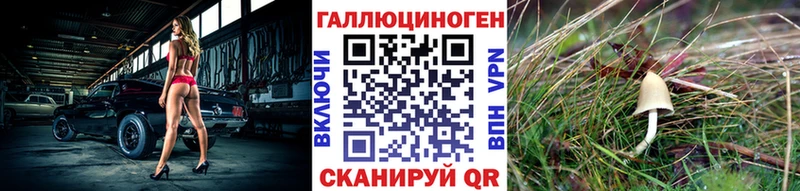 Купить закладки Бикин Галлюциногенные грибы MAGIC MUSHROOMS